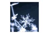北师大版八年级数学下册 3.3 中心对称图形(1)（课件）