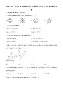 精品解析：广东省深圳市深圳中学2020-2021学年八年级下学期期中数学试题