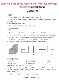 2022年河南省平顶山市2021-2022学年九年级下学期一模考试数学试题(含答案)