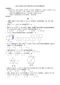 2022年浙江省温州市初中数学学业水平考试模拟卷（瑞安卷）试卷(word版无答案)