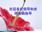 北师大版八年级数学下册 5.1 《认识分式》第一课时（课件）