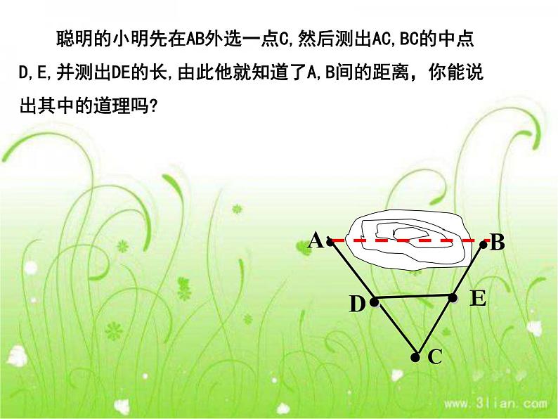 北师大版八年级数学下册 6.3 三角形的中位线(1)（课件）第3页