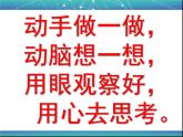 北师大版八年级数学下册 6.2 平行四边形的判定(6)（课件）