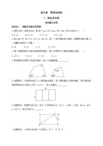 2020-2021学年3 相似多边形课时练习