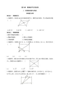 鲁教版 (五四制)八年级下册2 矩形的性质与判定精练