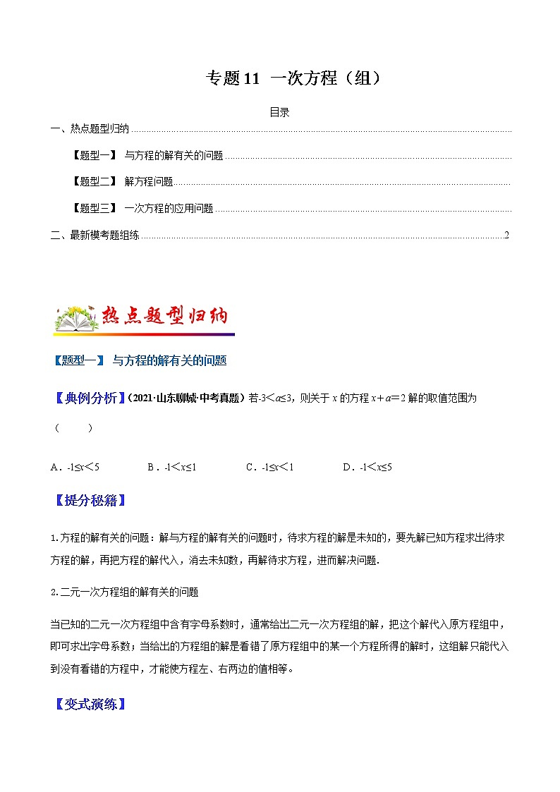 专题11 一次方程（组）（学生版）第1页