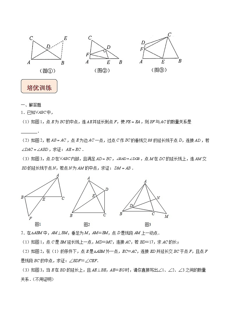 2022年苏教版中考数学压轴题经典模型教案专题05 倍长中线模型03