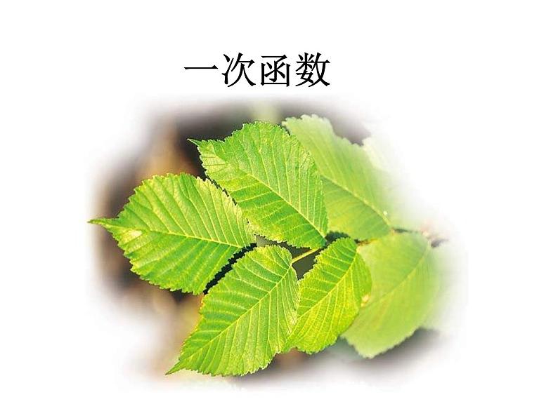 华东师大版八年级下册数学  17.3.1一次函数_（课件）第1页