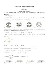 2022年山西省临汾市中考考前适应性训练（二模）数学试题及答案