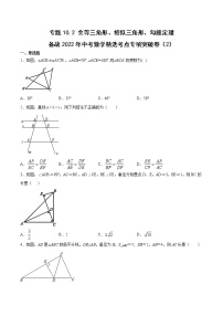 专题10.2 全等三角形、相似三角形、勾股定理（2）-备战2022年中考数学精选考点专项突破题集（全国通用）