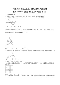 专题10.3 全等三角形、相似三角形、勾股定理（3）-备战2022年中考数学精选考点专项突破题集（全国通用）