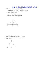 专题02 倍长中线模型构造全等三角形(提升训练)-2022年中考数学重难点专项突破（全国通用）