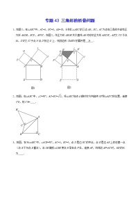 专题43 三角形的折叠问题-2022年中考数学重难点专项突破（全国通用）