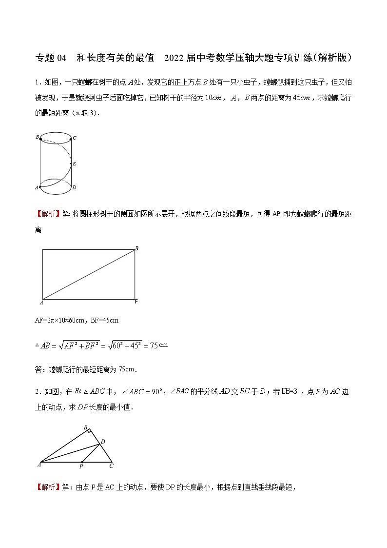 专题04 和长度有关的最值-2022届中考数学压轴大题专项训练01