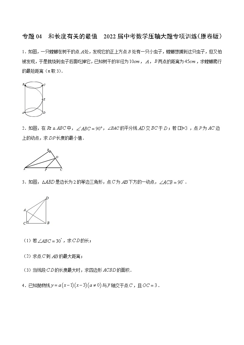 专题04 和长度有关的最值-2022届中考数学压轴大题专项训练01