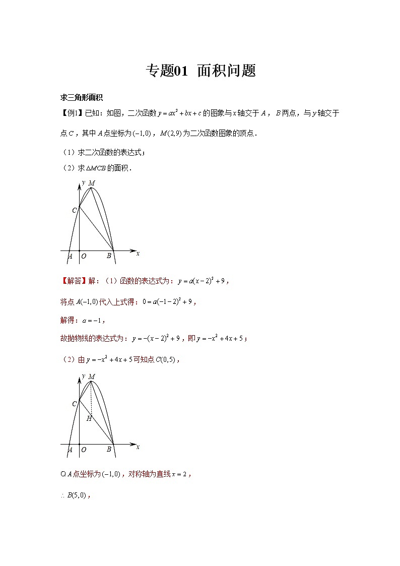 专题01  面积问题（解析版）第1页