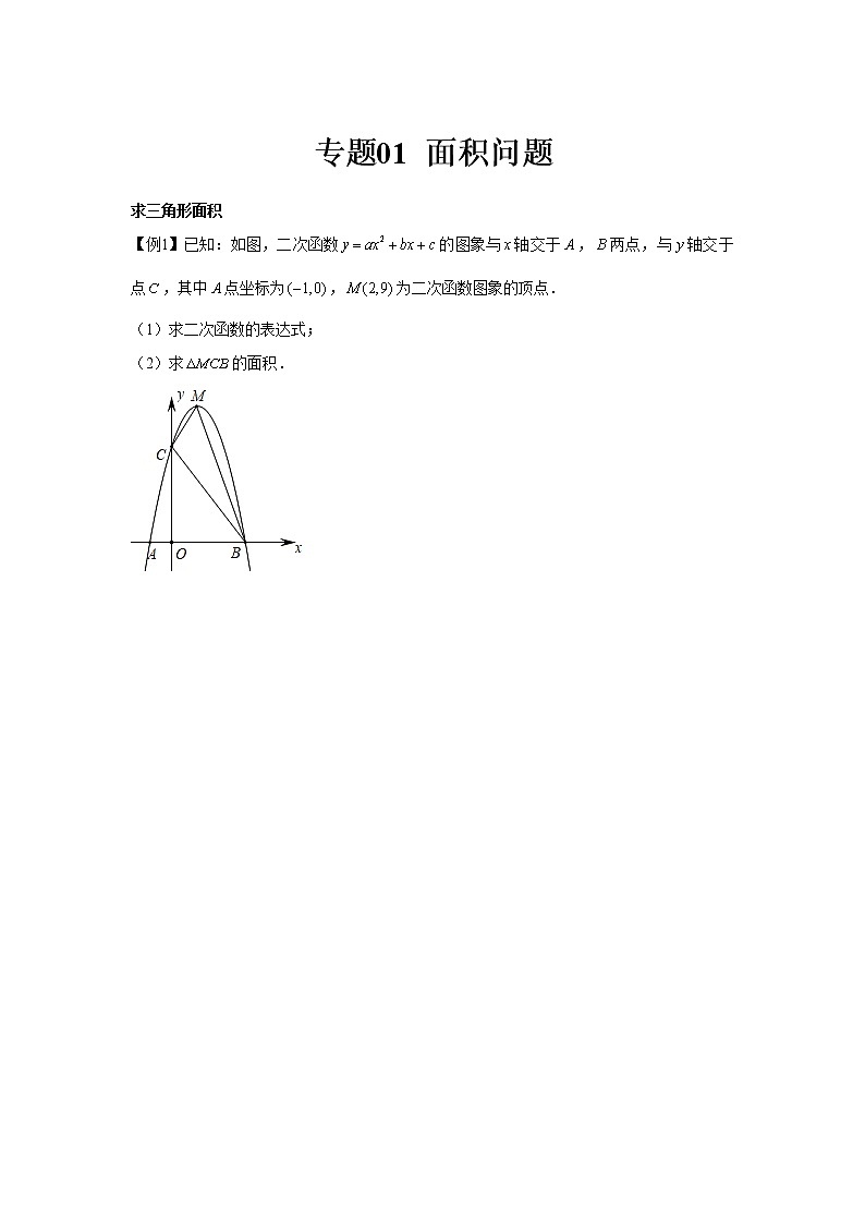 专题01  面积问题（原卷版）第1页