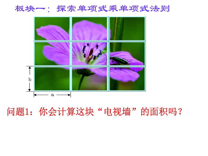 苏科版七年级下册数学课件 9.1 单项式乘单项式04