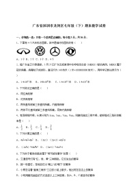 广东省深圳市龙岗区七年级（下）期末数学试卷（解析版）