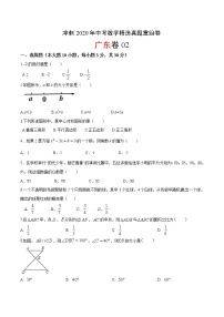 【模拟真题】2020年中考数学精选真题重组卷(广东卷)（含答案解析）