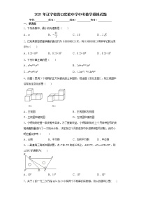 2021年辽宁省营口实验中学中考数学模拟试题(word版含答案)