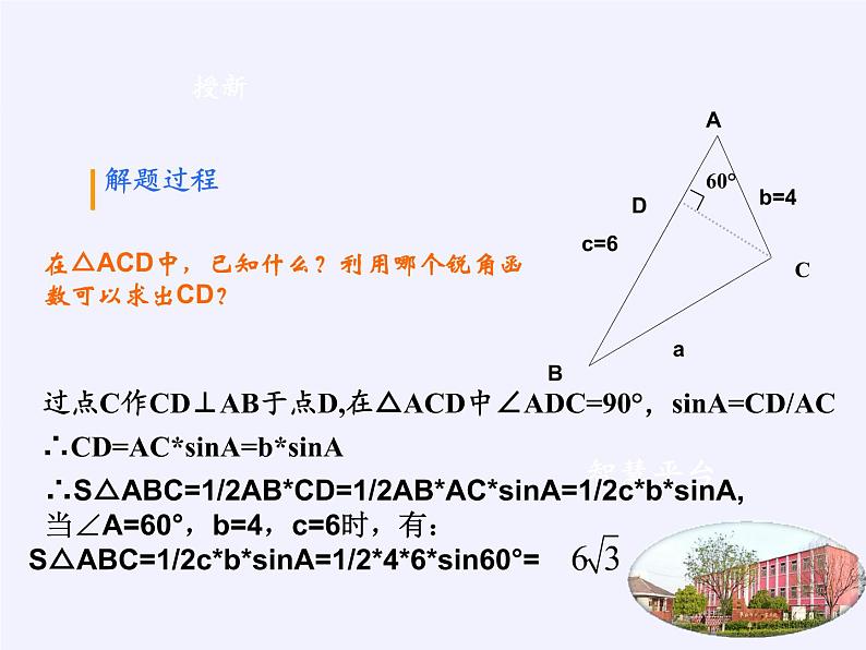 沪科版数学九年级上册 23.2 解直角三角形（课件）第5页