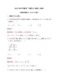 专题20相似三角形（基础巩固练习） 解析版