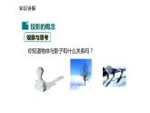 2021-2022学年度北师大版九年级数学上册课件5.1.1投影、中心投影