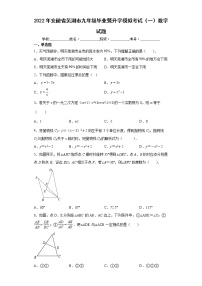 2022年安徽省芜湖市九年级毕业暨升学模拟考试（一）数学试题(word版含答案)