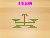 华东师大版七年级下册数学 6.2.1 等式的性质与方程的简单变形_ 课件