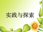 华东师大版七年级下册数学 6.3 实践与探索_ 课件
