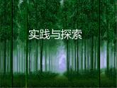 华东师大版七年级下册数学 6.3 实践与探索_(3) 课件