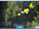 青岛版初中数学七年级上册 1.1 我们身边的图形世界_ 课件