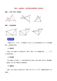 压轴专题12击破类比、探究类综合题利器之全等知识答案解析