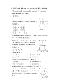 2022年广西崇左市扶绥县中考数学一模试卷（含答案）