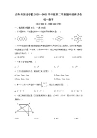 苏州外国语学校2020～2021学年度初一数学下学期期中调研试卷（含解析）