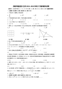 安徽省合肥市第四十五中学2021-2022学年八年级下学期期中数学试卷