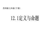 12.1定义与命题 课件2021-2022学年 苏科版七年级下册数学