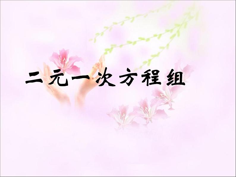 苏科版七年级数学下册 10.2  二元一次方程组_(2) 课件第1页