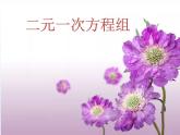 苏科版七年级数学下册 10.2  二元一次方程组_(1) 课件