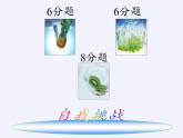 苏科版七年级数学下册 10.3 解二元一次方程组(4) 课件