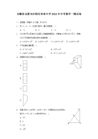 安徽省合肥市庐阳区寿春中学2022年中考数学一模试卷（含解析）