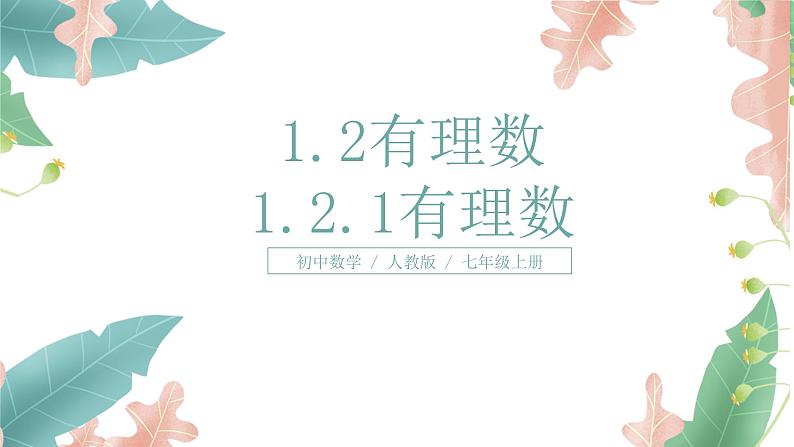 1.2.1《有理数》课件+教案01