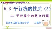 初中数学人教版七年级下册5.2.1 平行线示范课课件ppt