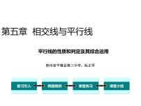 人教版七年级下册第五章 相交线与平行线5.2 平行线及其判定5.2.1 平行线教课ppt课件