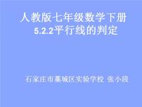 初中数学人教版七年级下册5.2.1 平行线说课ppt课件