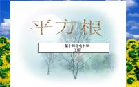 初中数学人教版七年级下册6.1 平方根背景图ppt课件