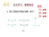 初中数学人教版七年级下册观察与猜想看图时的错觉1课件PPT