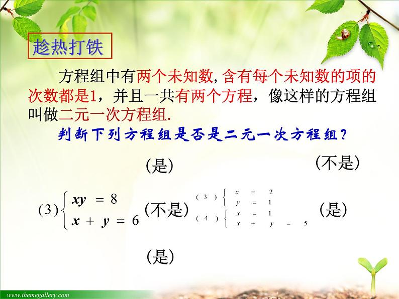 初中数学人教版七年级下册章前引言及二元一次方程组3课件PPT第7页