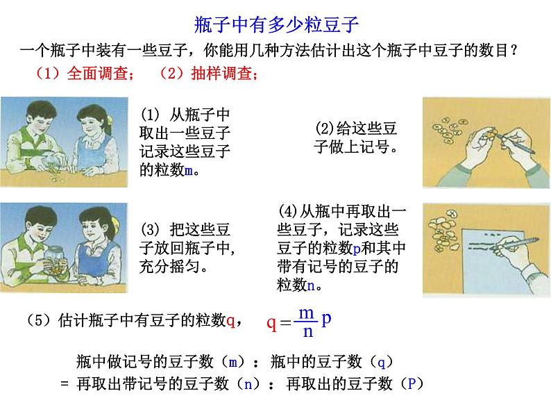 初中数学人教版七年级下册实验与探究瓶子中有多少粒豆子2课件PPT第3页